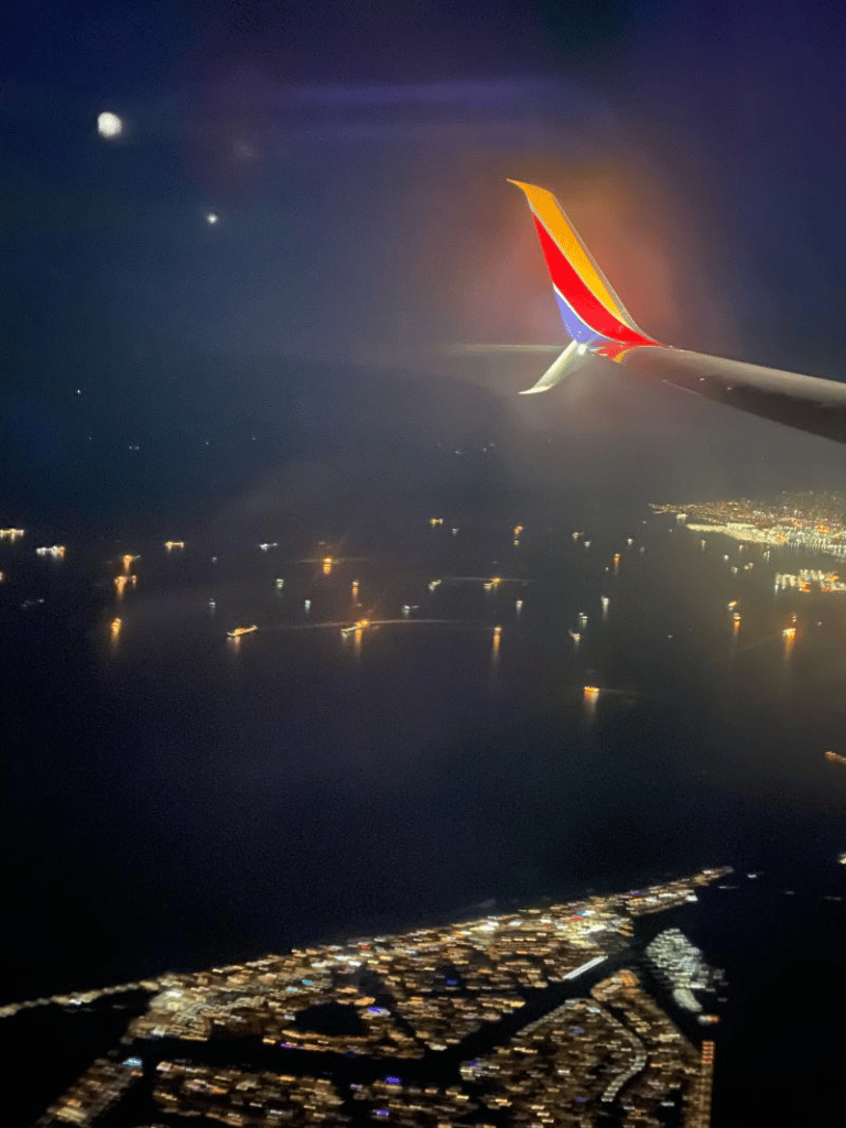 image-768x1024-1.png